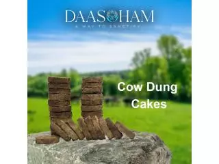 Dry Cow Dung Cake In India