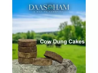 Cow Dung Price In Amazon 