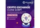 Step into the Lucrative World of Crypto Exchanges with Hivelance's Clone Script!
