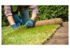 Commercial landscaping