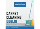 Transform Your Home with Our Specialized Carpet Cleaning Services