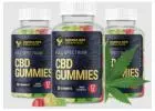 Canna Bee CBD Gummies Ireland(2024) 100% Safe, Does It Really Work Or Not?