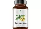 What else should you know about berberine?
