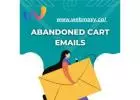 Abandoned Cart Emails |  abandoned cart email strategies