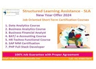 MIS Course in Chennai, Excel Certification in Delhi, VBA Macros ,100% Job by SLA Consultants,
