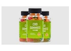 CBD Care Gummies：Improve Sleep Quality & Immunity