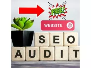 Claim Your Free SEO Website Audit - Get More Traffic