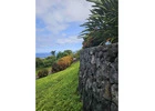 Enhance Your Landscape with Stunning Rock Retaining Walls with Hawaii Rock Walls