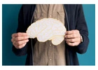 Alpha Brain Reviews - Organic & Safe Ingredients, Improve Memory, Focus