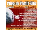 Plug In Profit Site