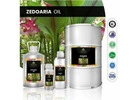 Know the effects, properties, and uses of Zedoaria oil