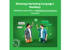 WhatsApp Marketing Campaign  | WebMaxy 