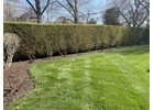 Transform Your Outdoor Space with Paradise Lawn & Landscape's Expert Lawn Maintenance in Overland Pa