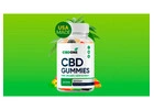 How do CBD One Gummies Work with Your General Well-being?