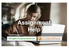 Assignment Help - By Professionals At No1AssignmentHelp.Com