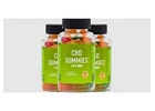 Makers CBD Gummies Reviews SIDE EFFECTS PROS AND CONS ALERT?
