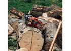 Wisconsin Rapids Tree Service Pros
