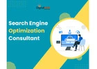 Search Engine Optimization Consultant