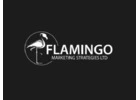 Flamingo Marketing Strategies