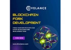 Blockchain Fork Development Company USA