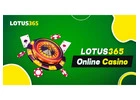 Lotus365 India - No. 1 Site for Casino and Sports Betting 