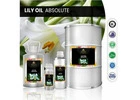 Buy Organic Lily Oil Absolute from Meena Perfumery