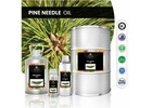 Pine Needle oil – the best therapeutic-grade essential oil