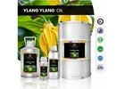 The most welcoming aphrodisiac – Ylang Ylang oil