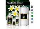 Frangipani Absolute oil – a high-quality anti-depressant