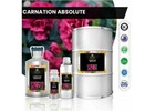 Know the advantages of Carnation Absolute oil