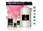 Experience the exotic fragrance of Pink Lotus Absolute
