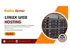 Onlive Servers Premium Linux Web Hosting Powering Your Online Presence.