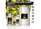 Get yourself 100% pure Him Champa Absolute Oil for an exotic fragrance