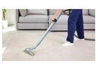 Expert Carpet Cleaning Services in Brisbane