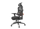 Buy Ergonomic Chair Online canada