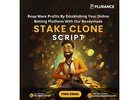 Get a Free Live Demo of Stake Clone Script