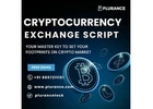 Want to Own Your Crypto Exchange Quickly? Contact Plurance