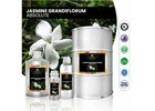 Enamor Jasmine Grandiflorum Absolute oil due to its healing properties