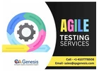 Risk Free Software Development with Agile Testing Services