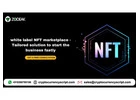 white label NFT marketplace - Tailored solution to start the business fastly