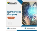 Best NLP Development Services Company in India