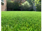 Free fake grass quote