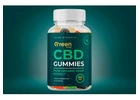 Green Acre CBD Gummies Website Pain Relief, Side Effects, Best Results, Works & Buy!