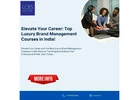 Elevate Your Career Top Luxury Brand Management Courses In India!